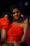 SIIMA Awards Function Photos - 42 of 103