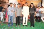 Simha Movie Audio Success Meet - 11 of 237