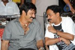 Simha Movie Audio Success Meet - 158 of 237