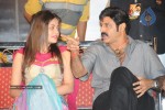 Simha Movie Audio Success Meet - 236 of 237