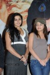 Simha Movie Press Meet - 18 of 58