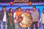 Singam Movie Audio Launch 03 - 47 of 81