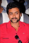 Singam Movie Trailer Launch - 2 of 67