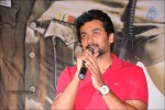 Singam Movie Trailer Launch - 13 of 67