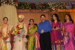 Sivaji Family Wedding Reception Photos - 49 of 58