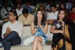 Something Something Audio Launch - 14 of 248