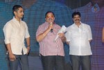 Something Something Audio Launch - 110 of 248