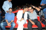 Son of Satyamurthy Audio Success Meet 02 - 45 of 74