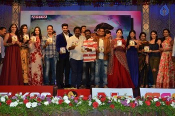 Speedunnodu Audio Launch 2 - 32 of 79