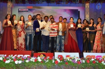 Speedunnodu Audio Launch 2 - 35 of 79