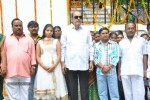 Sri Naranadri Creations Movie Opening - 14 of 34