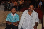 Srimannarayana Audio Launch 02 - 52 of 101