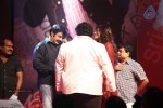 Srimannarayana Audio Launch 03 - 11 of 140