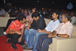 Srimannarayana Audio Launch 03 - 21 of 140