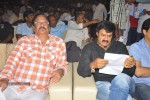 Srimannarayana Audio Launch 03 - 43 of 140