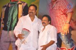 Srimannarayana Audio Launch 04 - 88 of 97