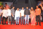 Srimannarayana Audio Launch 05 - 95 of 127