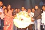 Srimannarayana Audio Launch 05 - 96 of 127