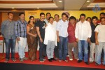 Srimannarayana Movie Success Meet Photos - 119 of 140