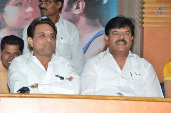 Srimathi Bangaram Platinum Disc Function - 20 of 35