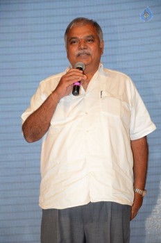 Srirastu Subhamastu Pre Release Function 2 - 41 of 42