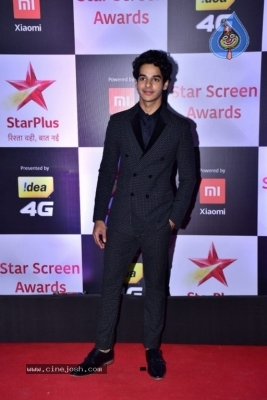 Star Screen Awards 2018 Photos - 10 of 40