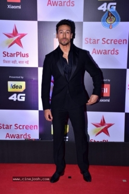 Star Screen Awards 2018 Photos - 20 of 40