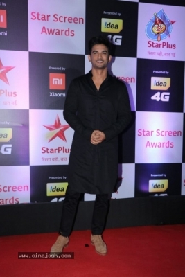 Star Screen Awards 2018 Photos - 23 of 40