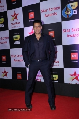 Star Screen Awards 2018 Photos - 28 of 40
