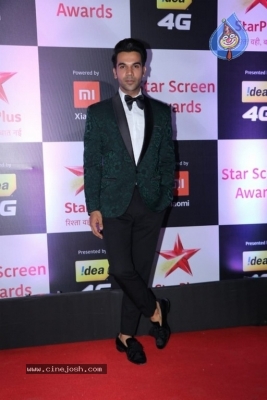 Star Screen Awards 2018 Photos - 29 of 40