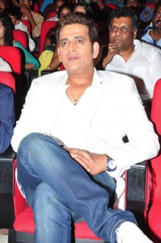 Supreme Audio Launch 1 - 32 of 84