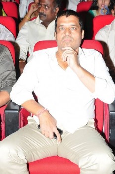 Supreme Audio Launch 1 - 59 of 84