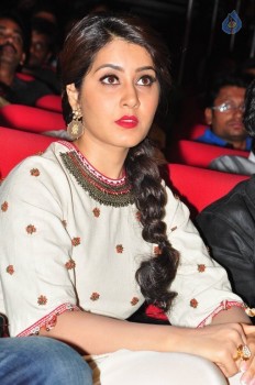 Supreme Audio Launch 2 - 10 of 53