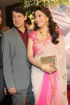 Suraj Godambe Wedding Reception - 4 of 43