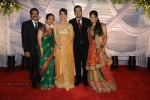 Suraj Godambe Wedding Reception - 18 of 43