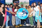 Swimming Pool Audio Launch - 26 of 52