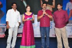 Swimming Pool Audio Launch - 45 of 52