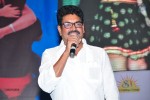 Swimming Pool Audio Launch - 48 of 52