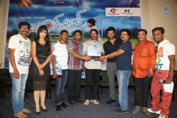 Swimming Pool Platinum Disc Function - 25 of 42