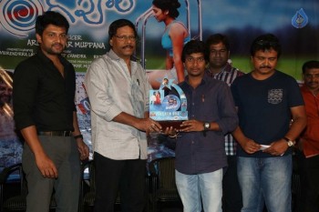 Swimming Pool Platinum Disc Function - 28 of 42