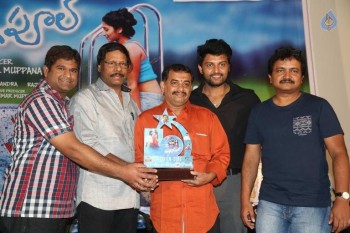 Swimming Pool Platinum Disc Function - 32 of 42
