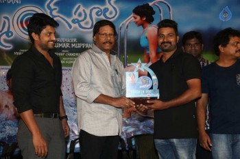 Swimming Pool Platinum Disc Function - 33 of 42