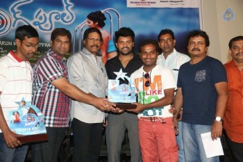 Swimming Pool Platinum Disc Function - 36 of 42
