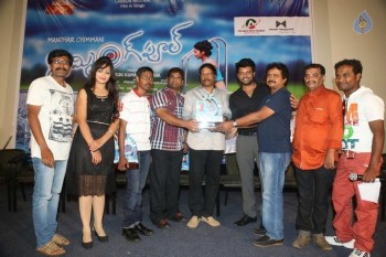 Swimming Pool Platinum Disc Function - 39 of 42
