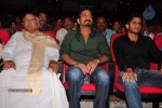 Tadakha Movie Audio Launch 02 - 172 of 289