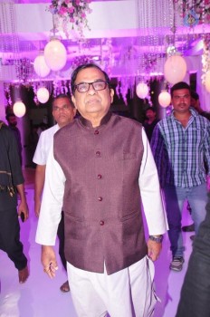 Talasani Srinivas Yadav Daughter Swathi Wedding Reception 2 - 16 of 82