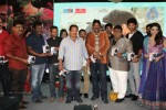 Tanu Monne Vellipoyindi Audio Launch  - 9 of 72