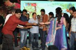 Tanu Monne Vellipoyindi Audio Launch  - 58 of 72
