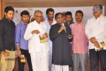 Tanu Nenu Mohammad Rafi Audio Launch - 5 of 50