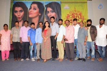 Tanu Vachenanta Song Launch - 28 of 30